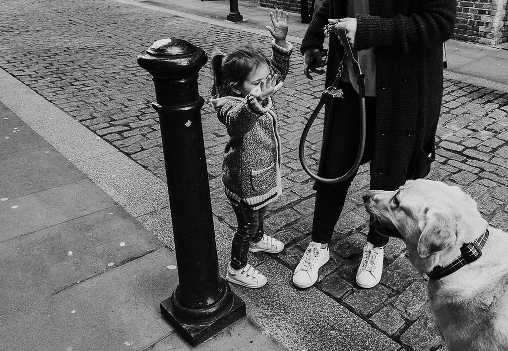 toddler girl with pet dog in London