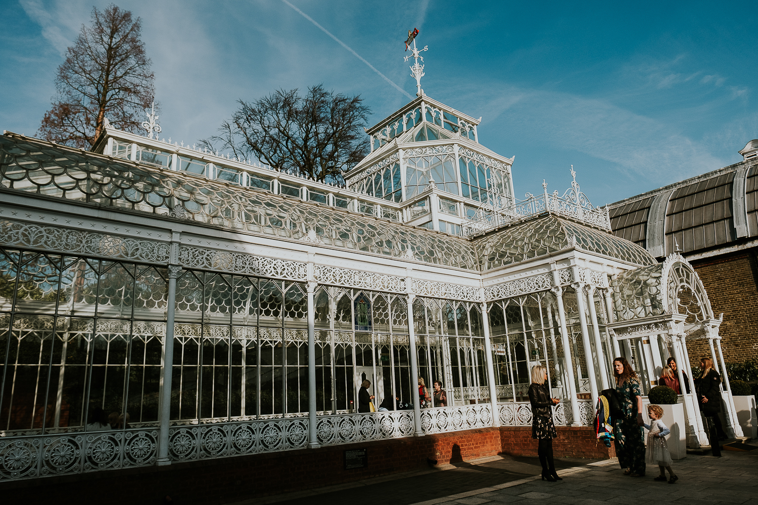 horniman museum conservatory london christening photography