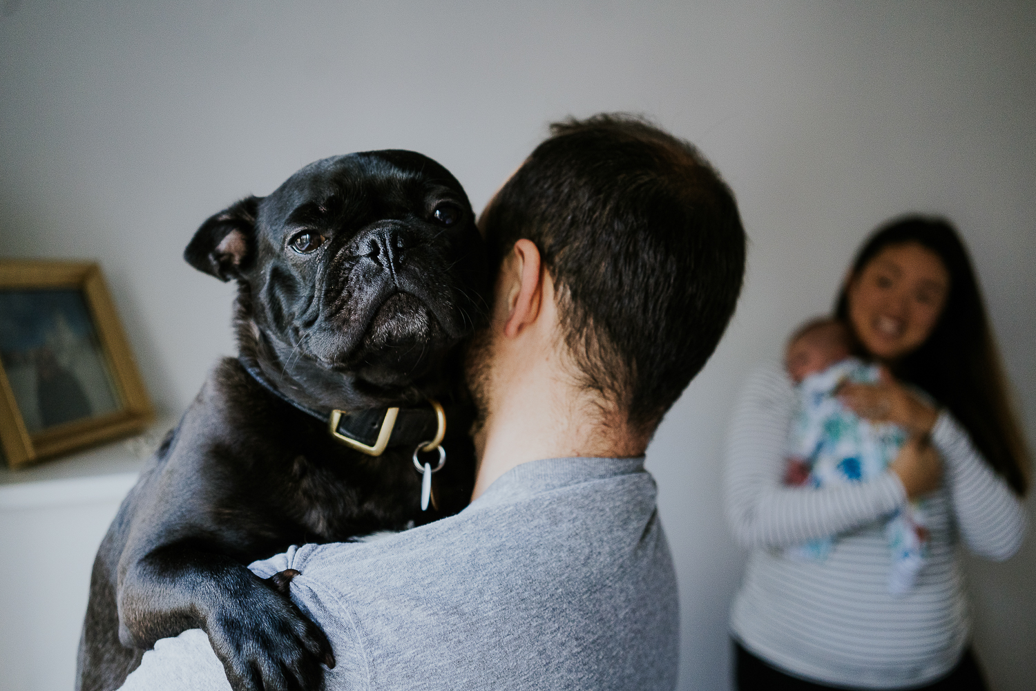 french bulldog new parents and baby