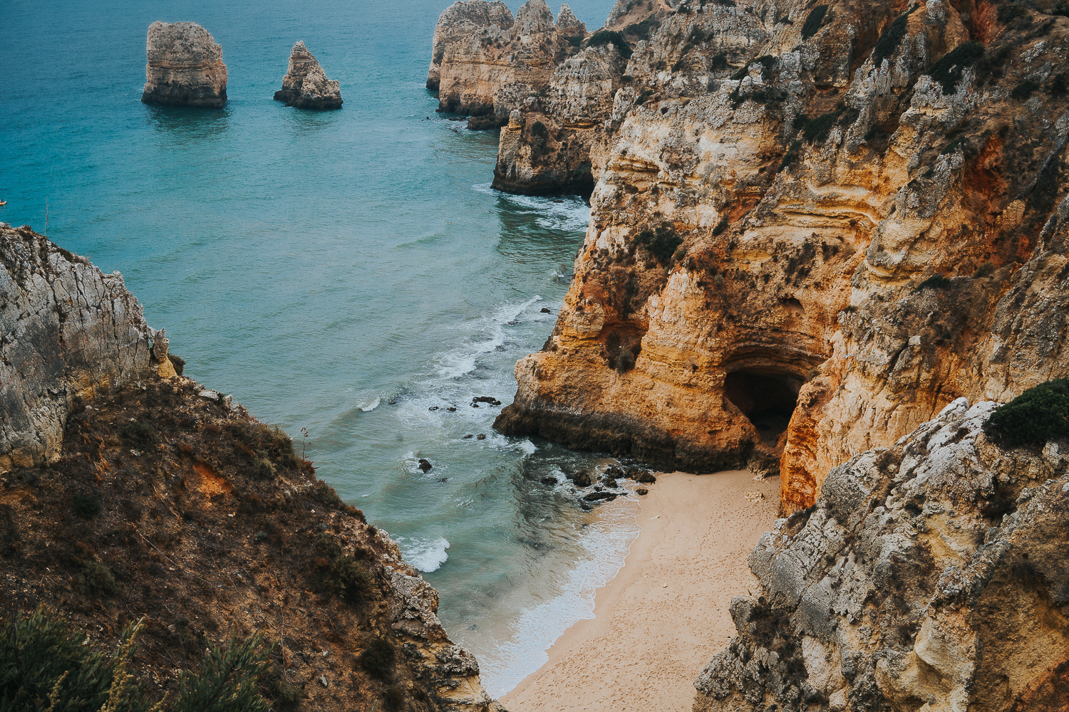 family photography 2020 alga