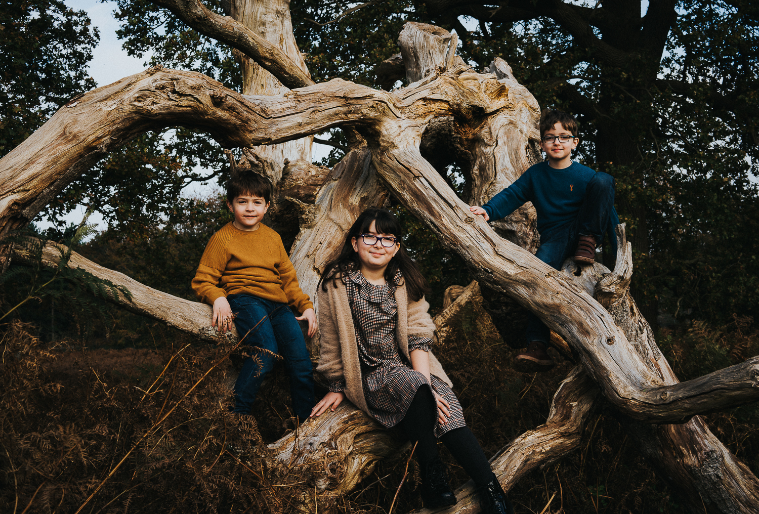 Ashford family photography 2020 three siblings sitting in large tree