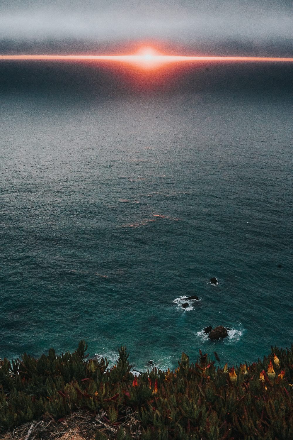 family photography 2020 alga