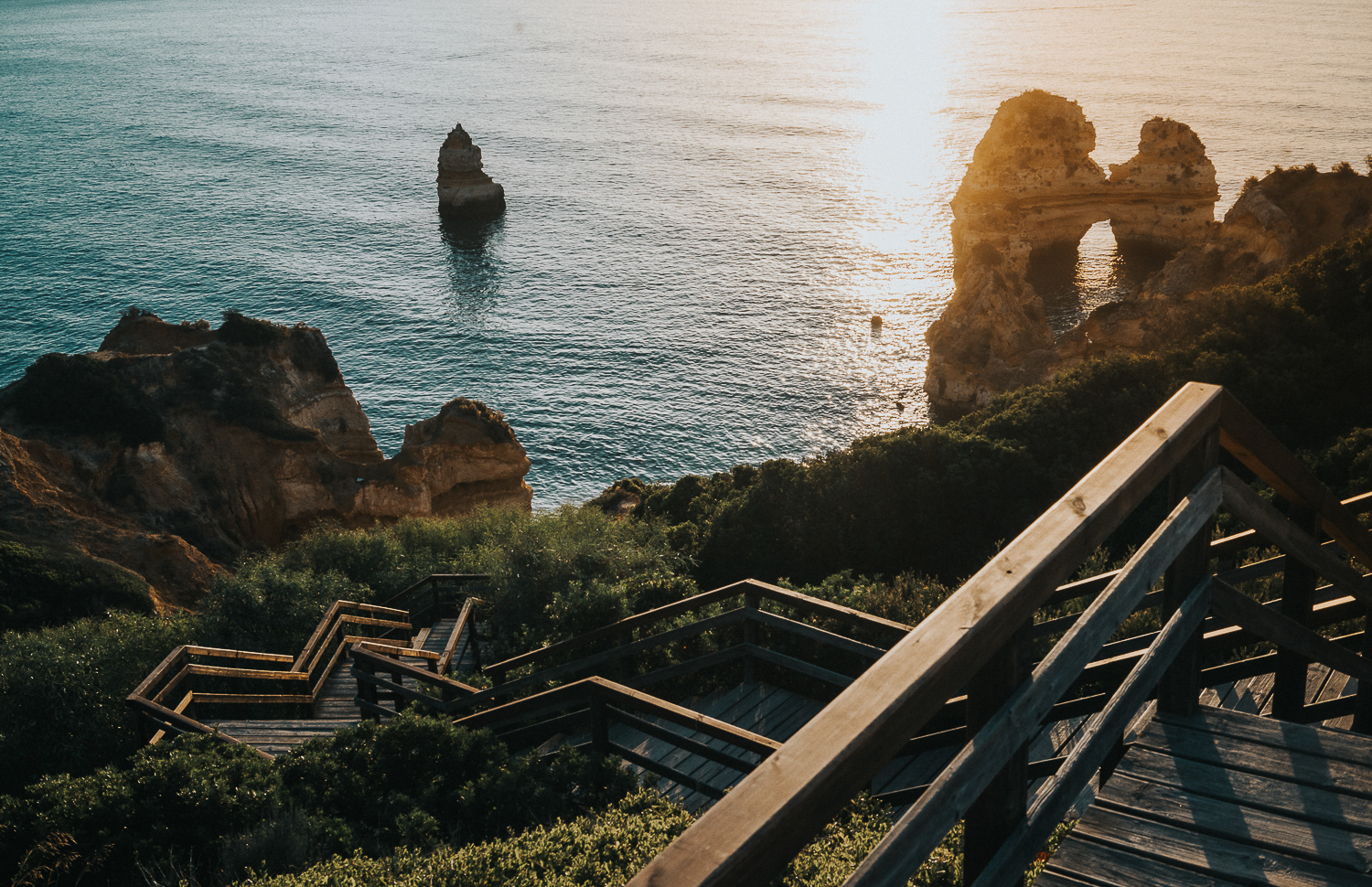 family photography 2020 alga