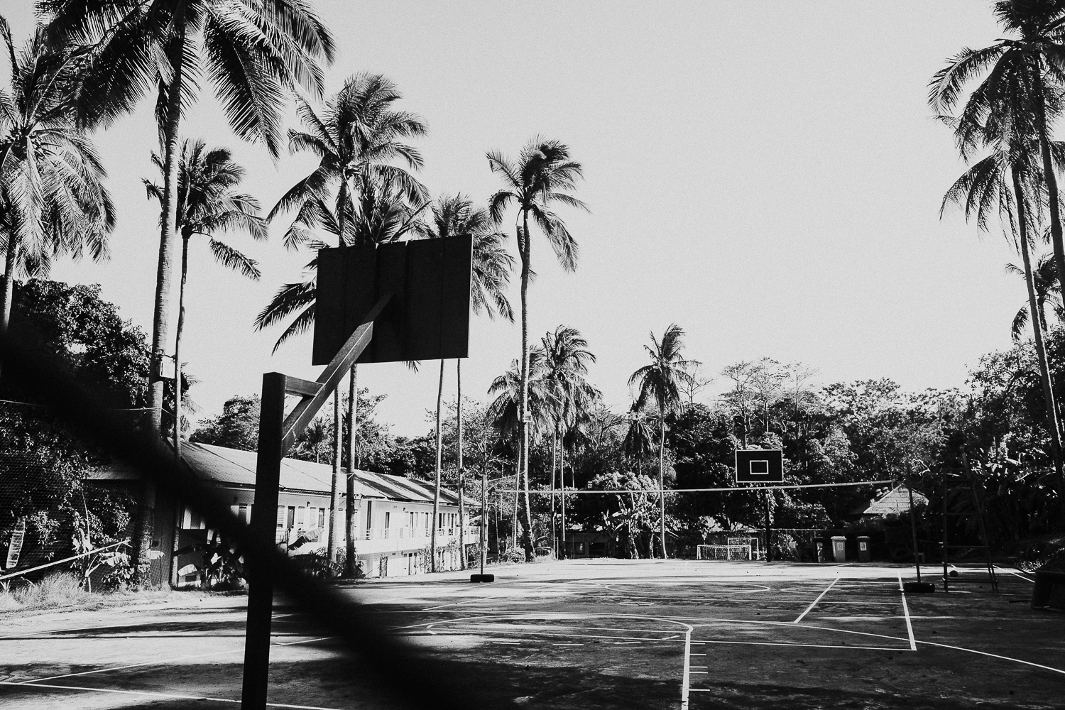 London family photography 2020 black and white basketball court in thailand with palm trees