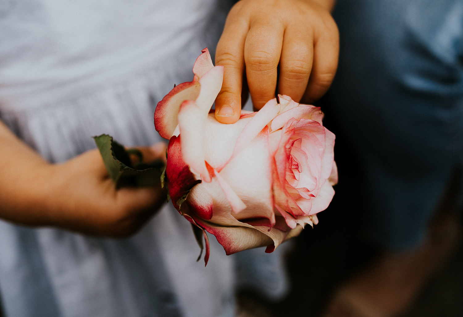 sibling family photography 2020 girls finger close up with rose