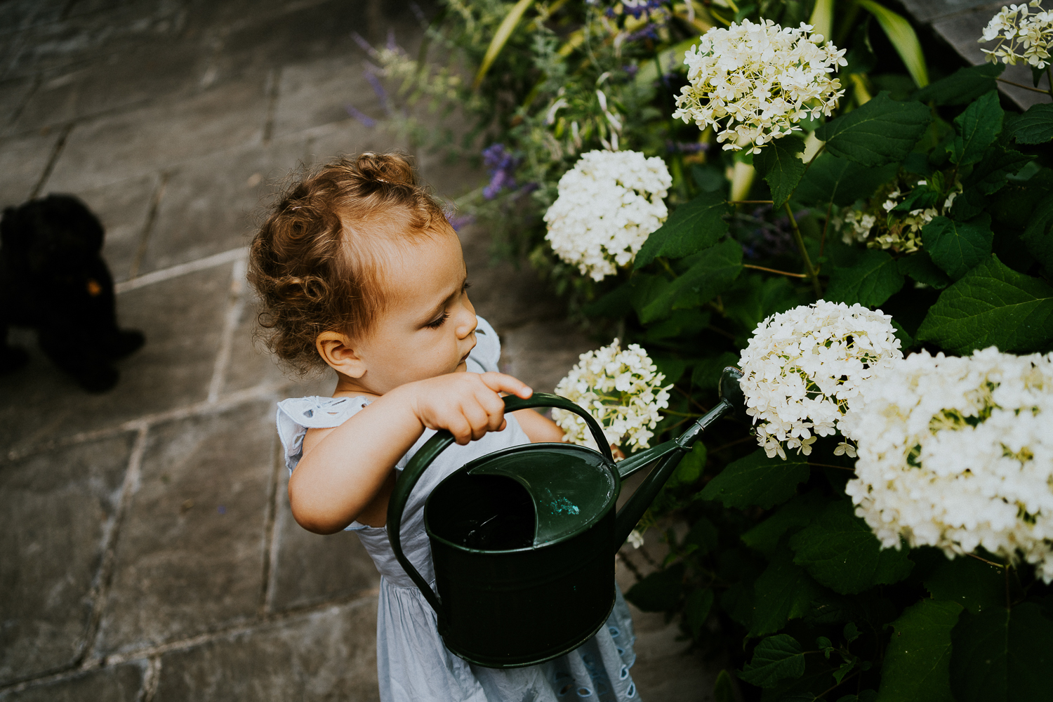 NORTH KENSINGTON FAMILY PHOTO SESSION toddler girl watering flowers in garden at home