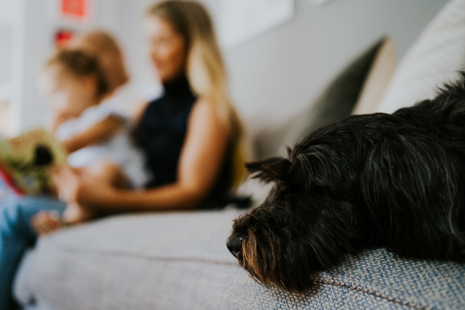 north kensington family photo session parents reading book with daughter toddler on sofa with dog in focus in foreground