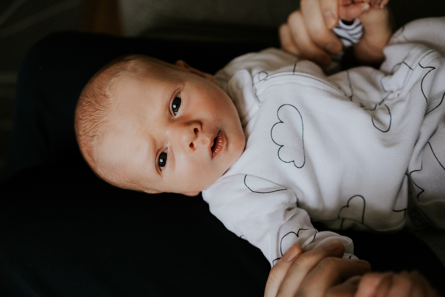 newborn photo session at home in highgate photo of baby boy
