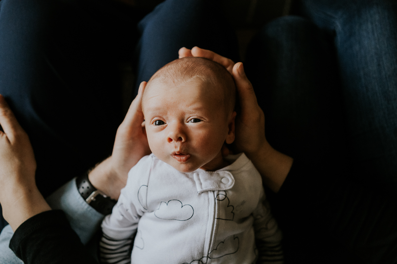 newborn photo session at home in highgate photo of baby boy