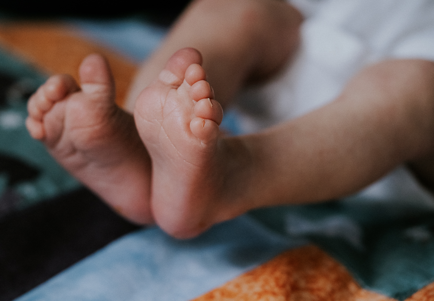 newborn photo session at home in highgate photo of baby boy feet