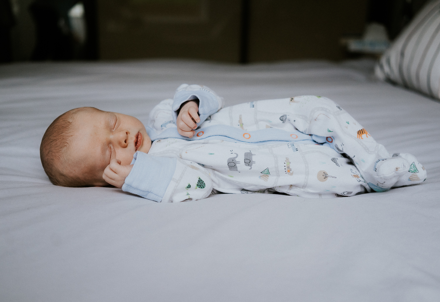 newborn photo session at home in highgate photo of baby boy