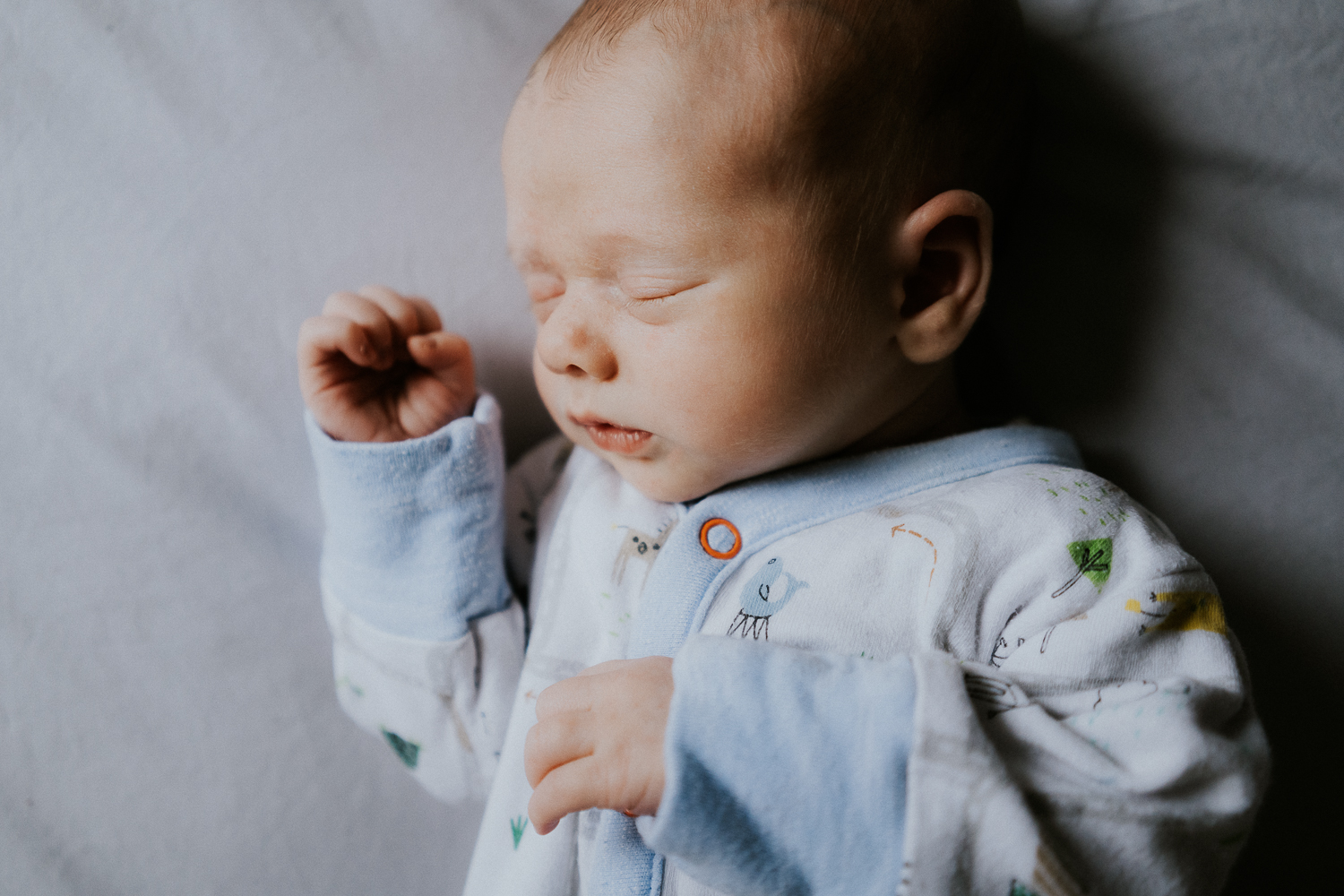 newborn photo session at home in highgate photo of baby boy