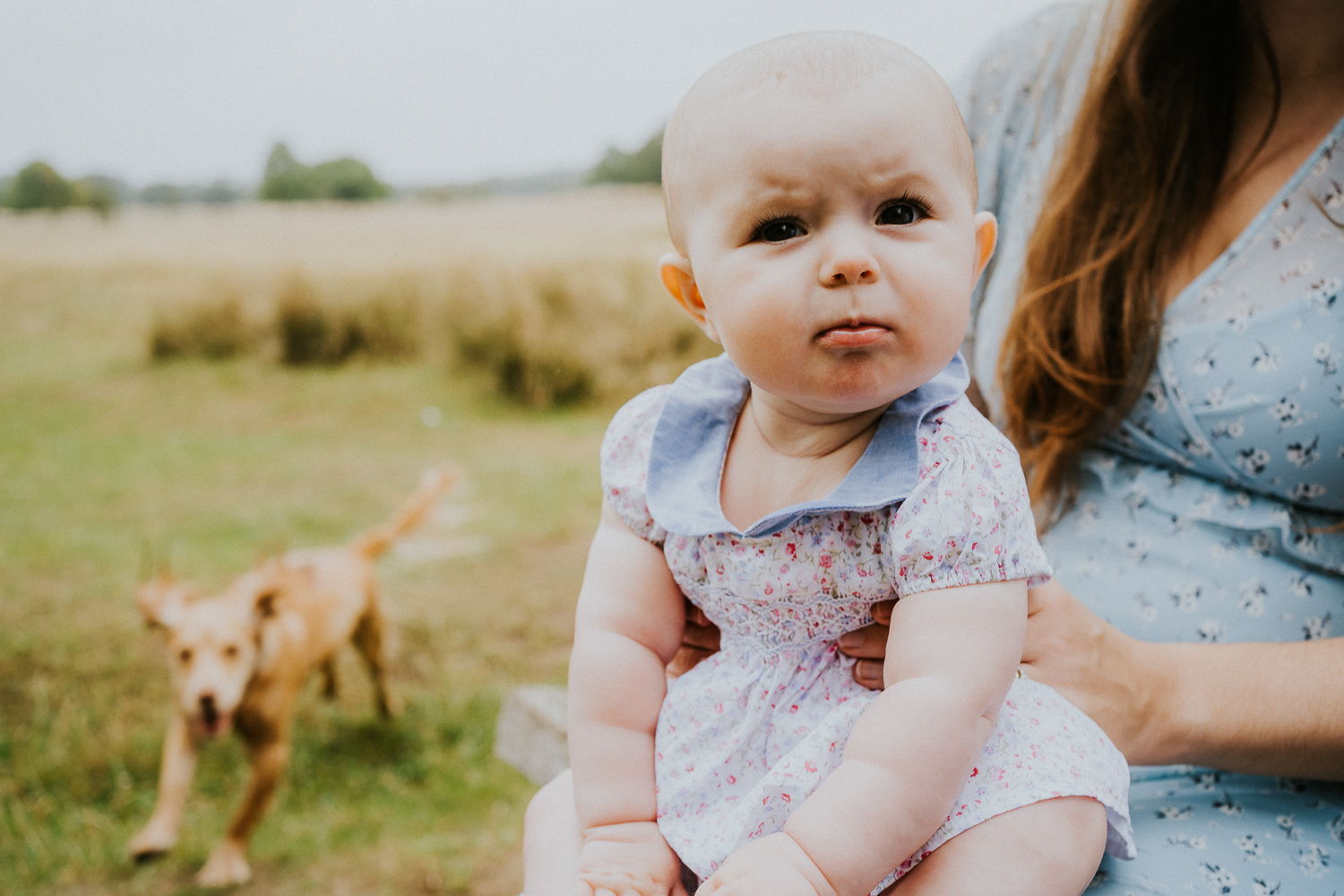 SPRING MINI PHOTO SESSIONS CLOSE UP BABY GIRL SMILING SITTING ON PARENTS LAP WITH DOG IN BACKGROUND