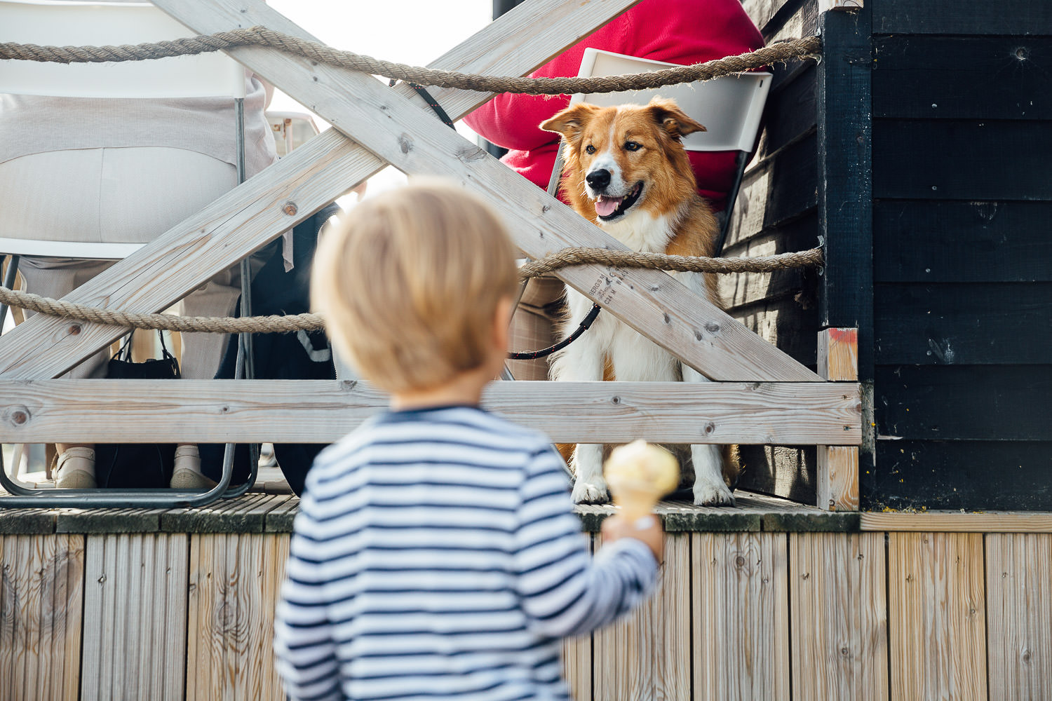 BEST BEACH DAYS OUT FROM LONDON DOG LOOKING AT BOY WITH ICE CREAM